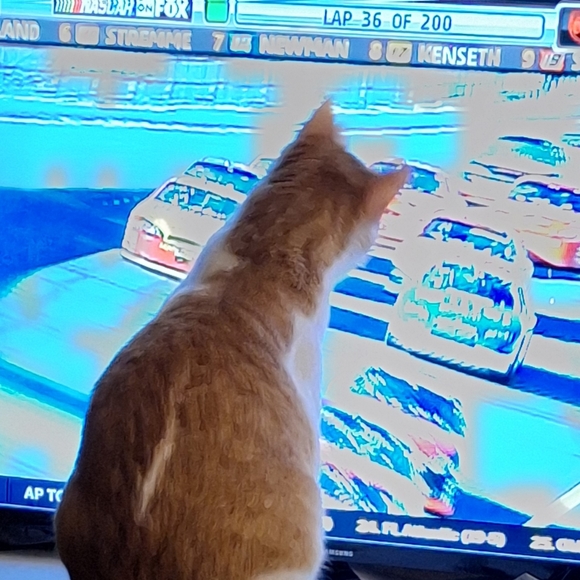 Make an offer!! Be Happy with your purchase! - Picture 4 of 8